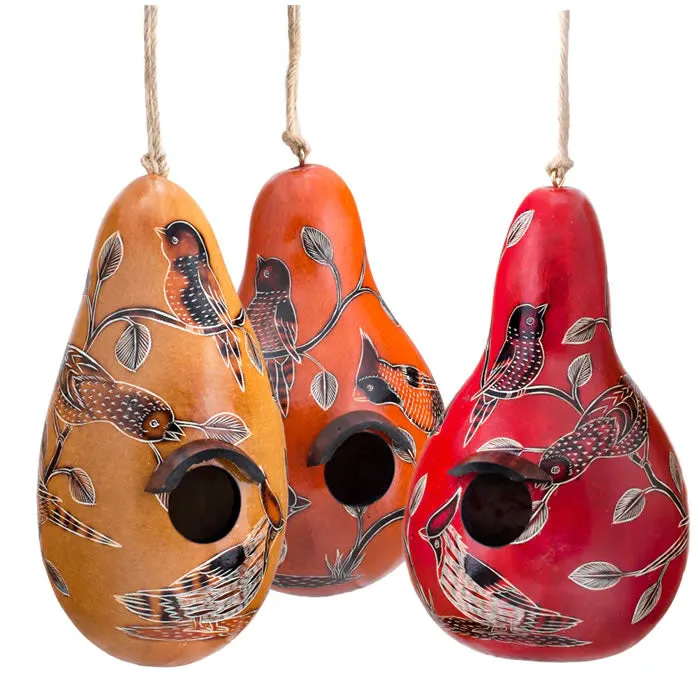 Birds of North America Gourd Birdhouse, Choose from 3 Colors