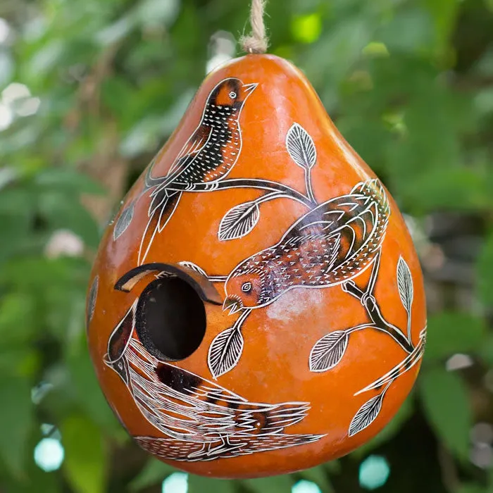 Birds of North America Gourd Birdhouse, Choose from 3 Colors