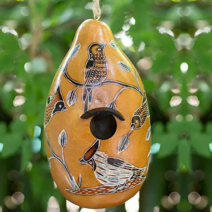Birds of North America Gourd Birdhouse, Choose from 3 Colors