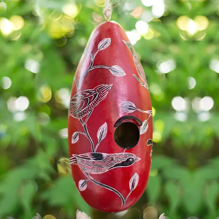 Birds of North America Gourd Birdhouse, Choose from 3 Colors