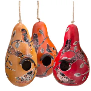Birds of North America Gourd Birdhouse, Choose from 3 Colors