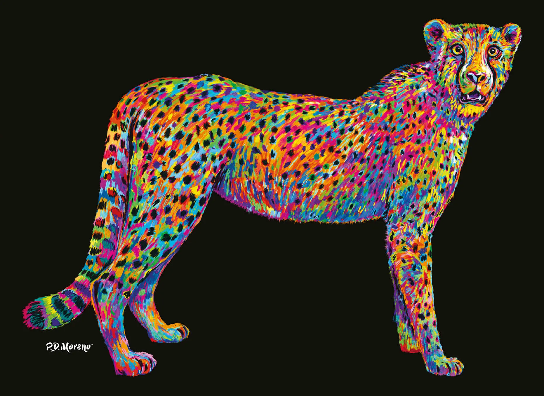 Cheetah Pop Colors