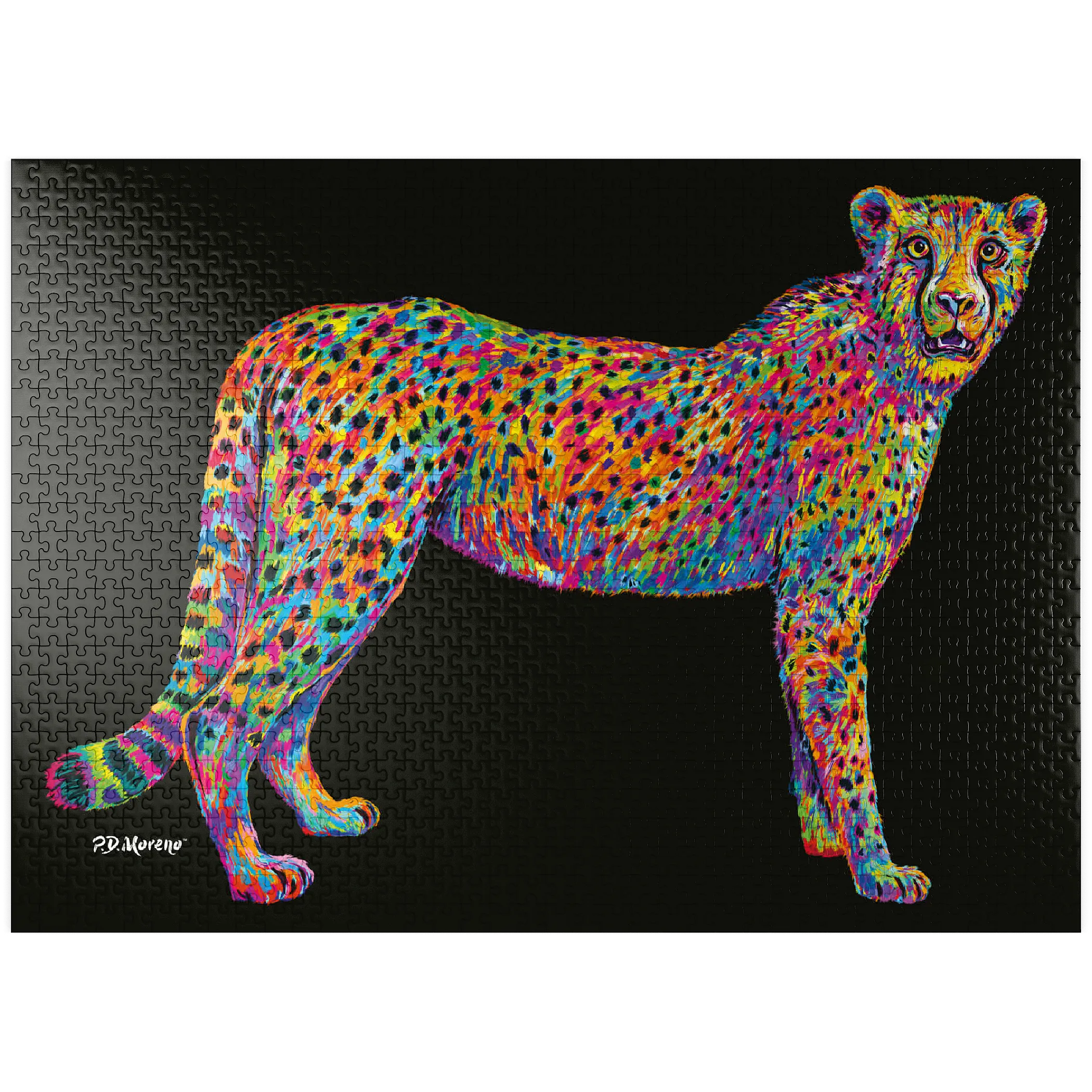 Cheetah Pop Colors