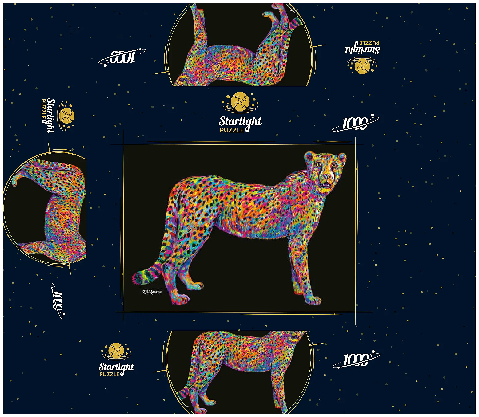 Cheetah Pop Colors