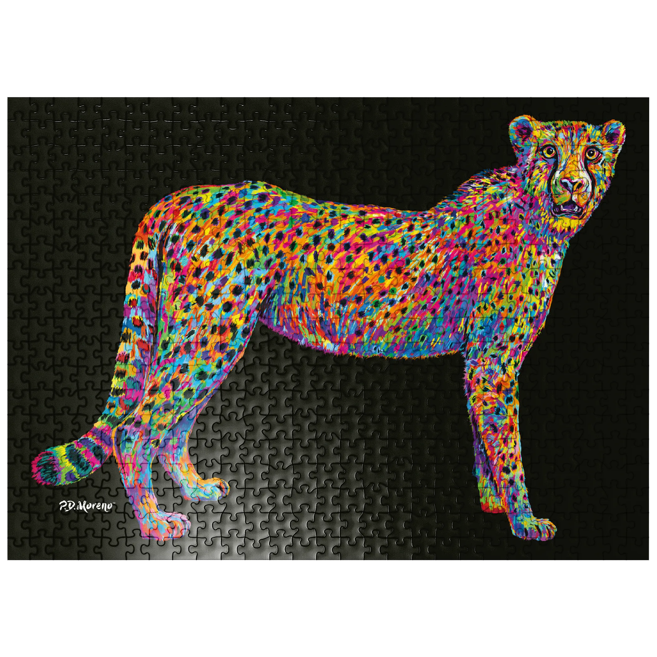 Cheetah Pop Colors