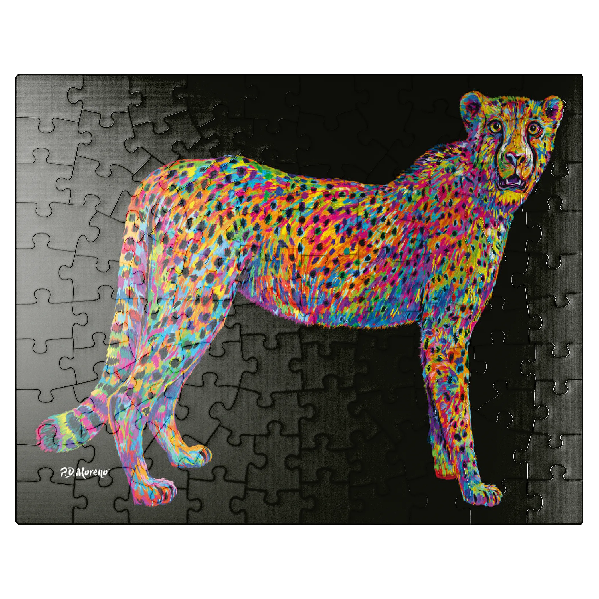 Cheetah Pop Colors