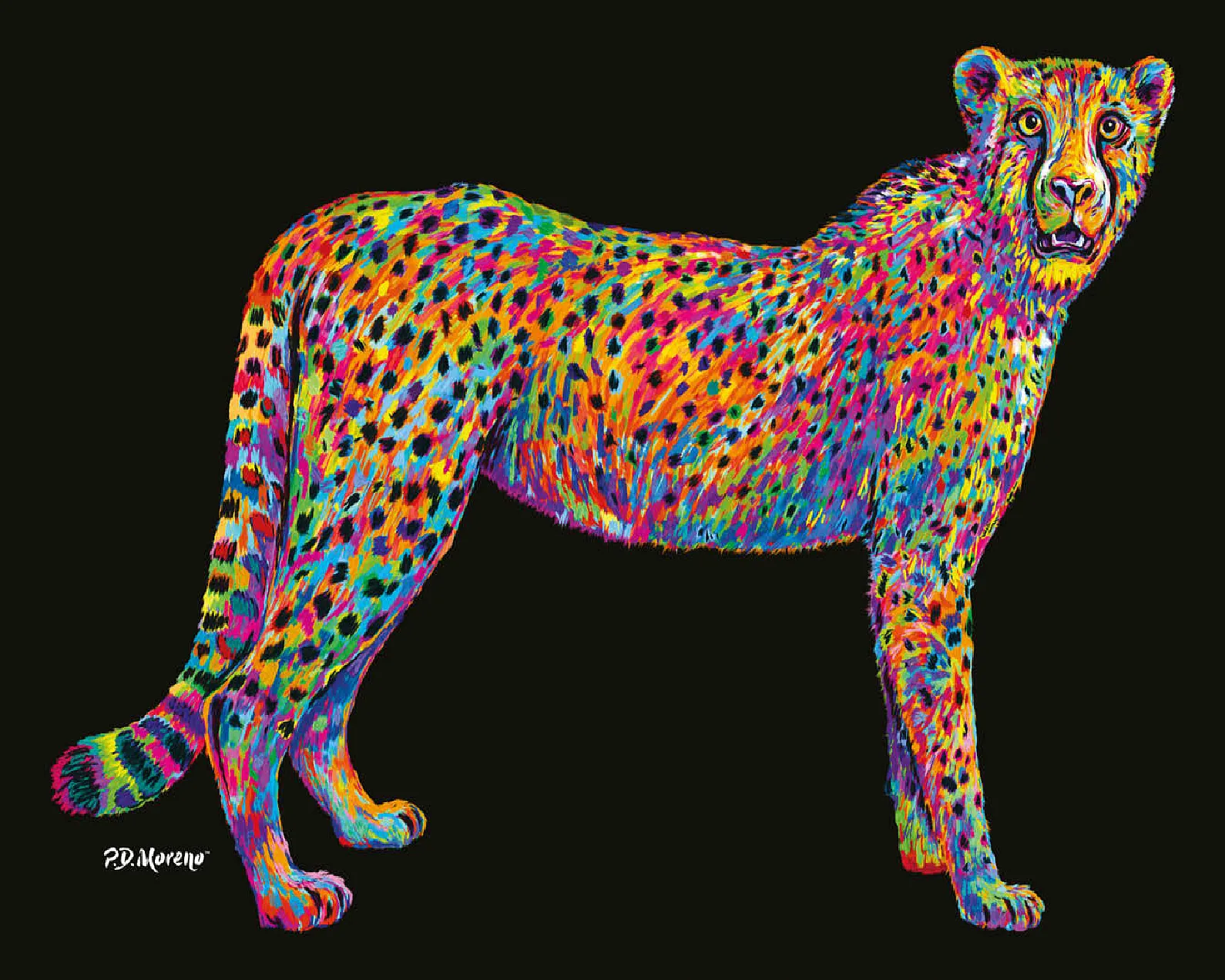 Cheetah Pop Colors