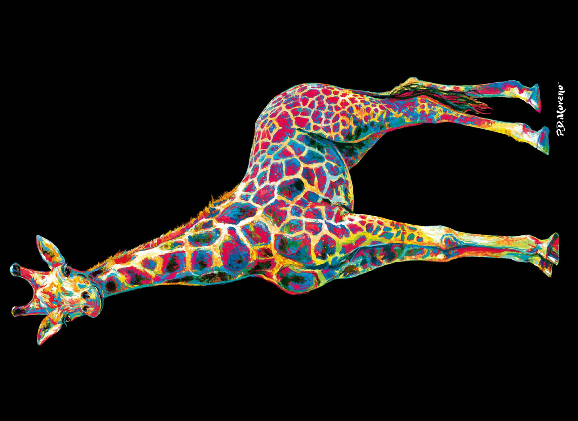Colorful Giraffe
