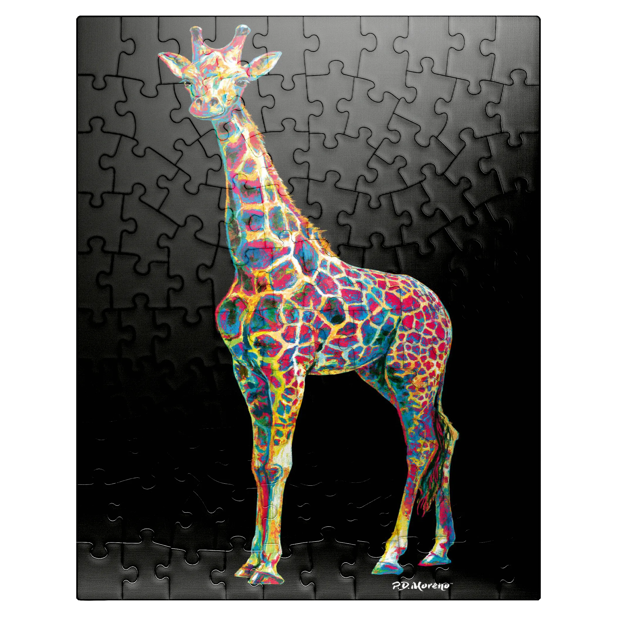 Colorful Giraffe