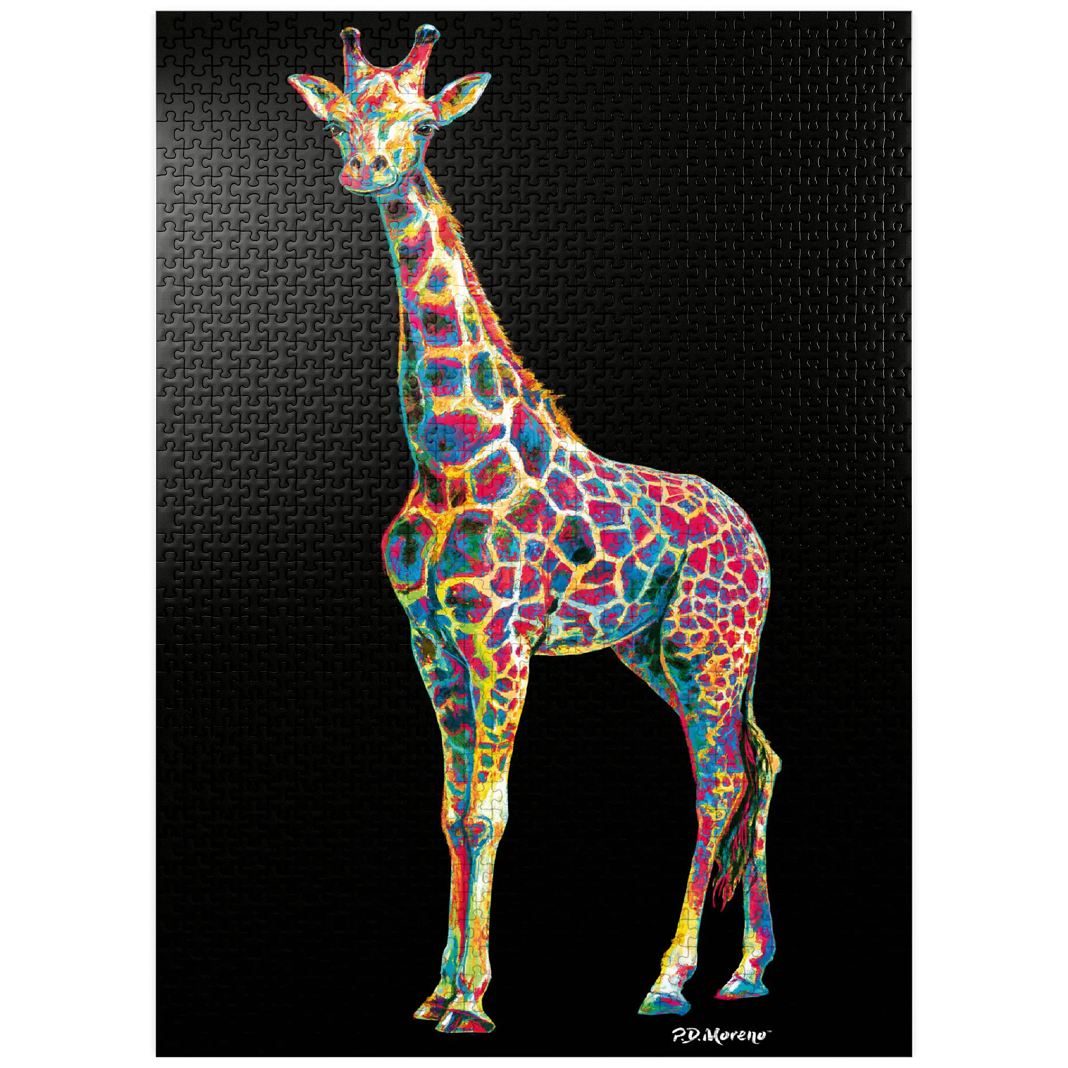 Colorful Giraffe