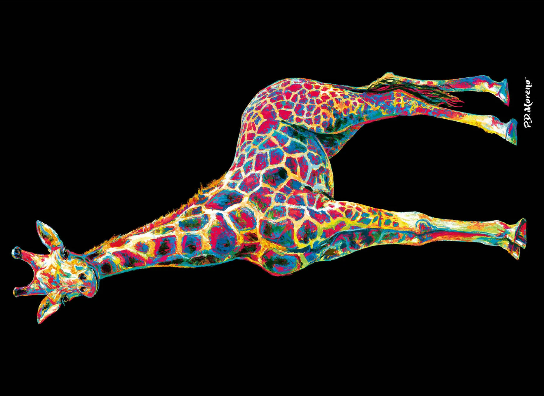 Colorful Giraffe