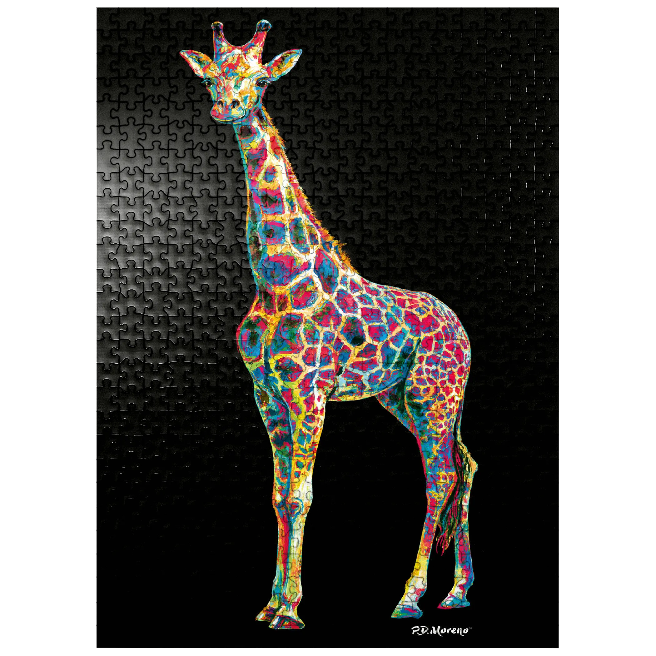 Colorful Giraffe