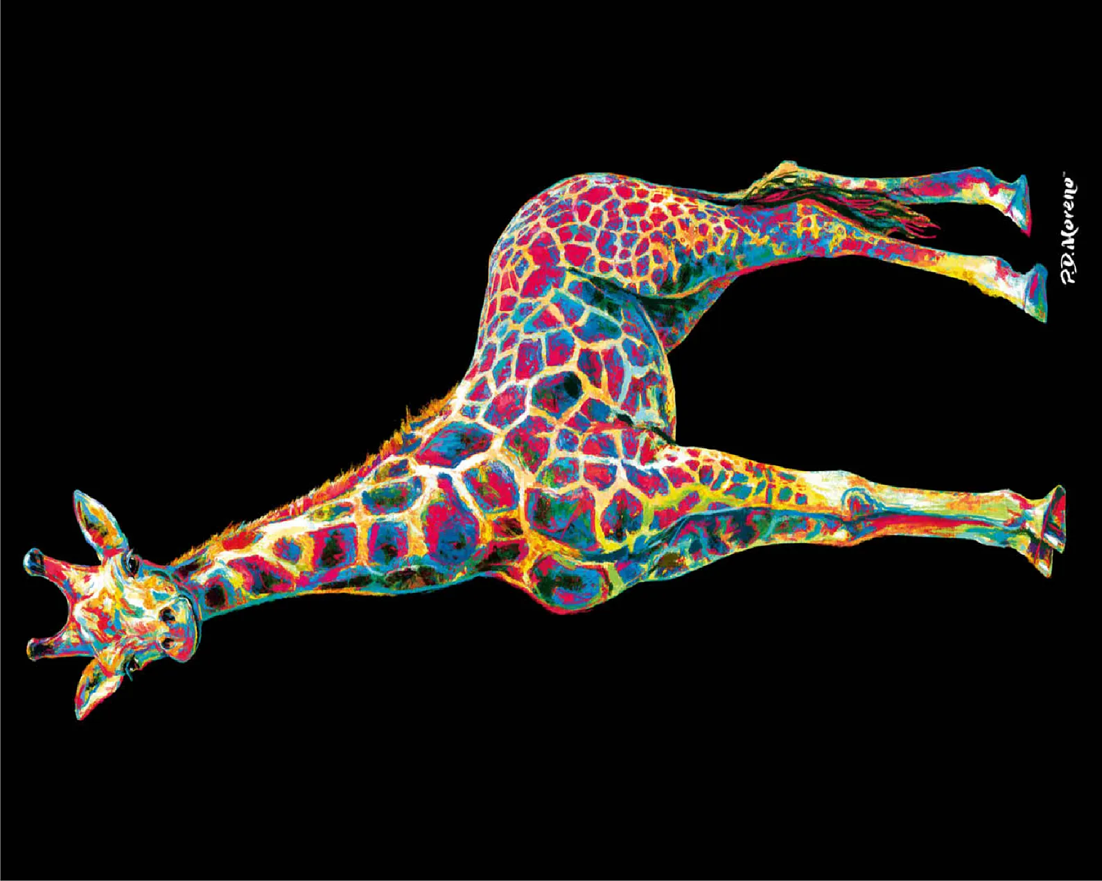 Colorful Giraffe