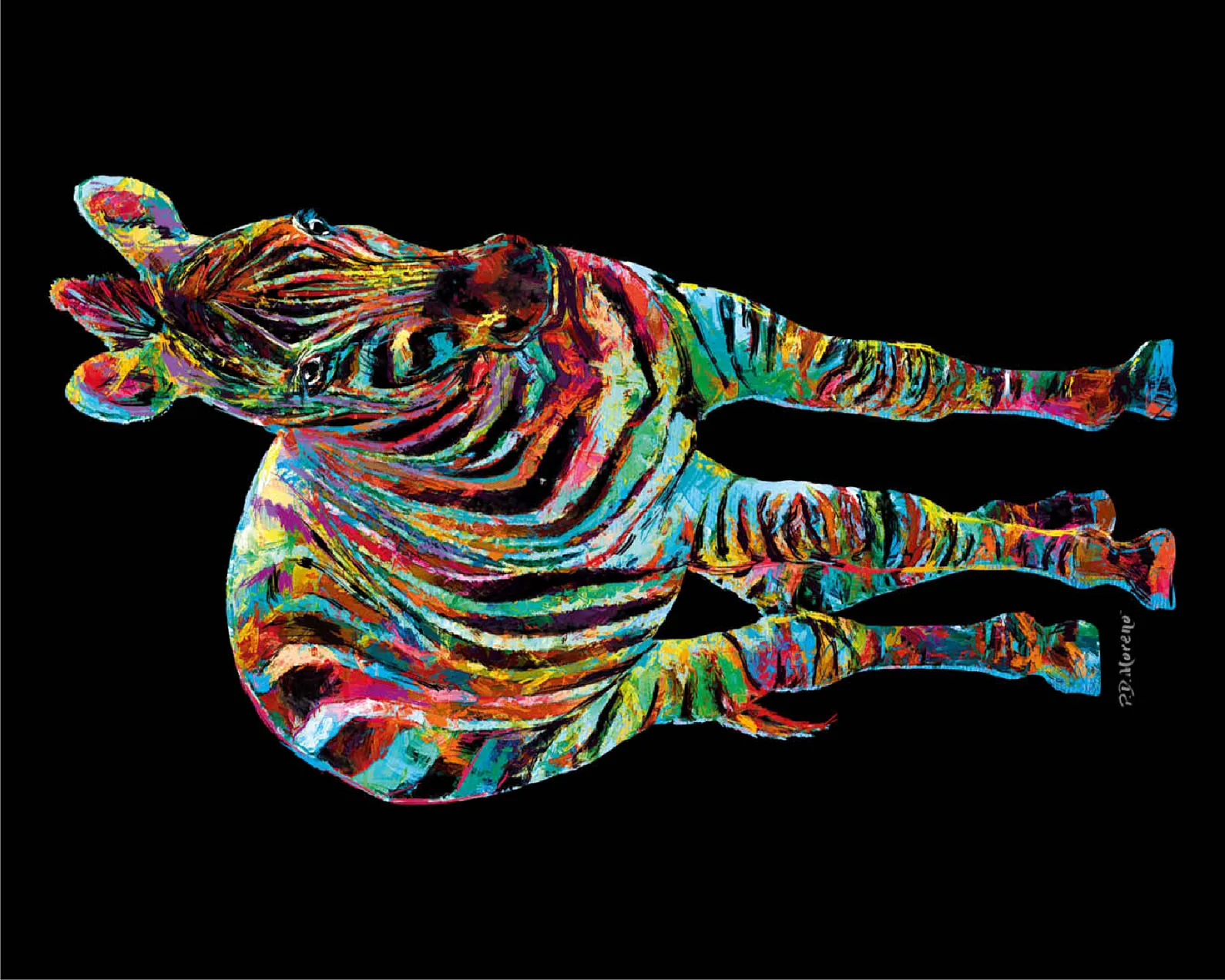 Colorful Zebra