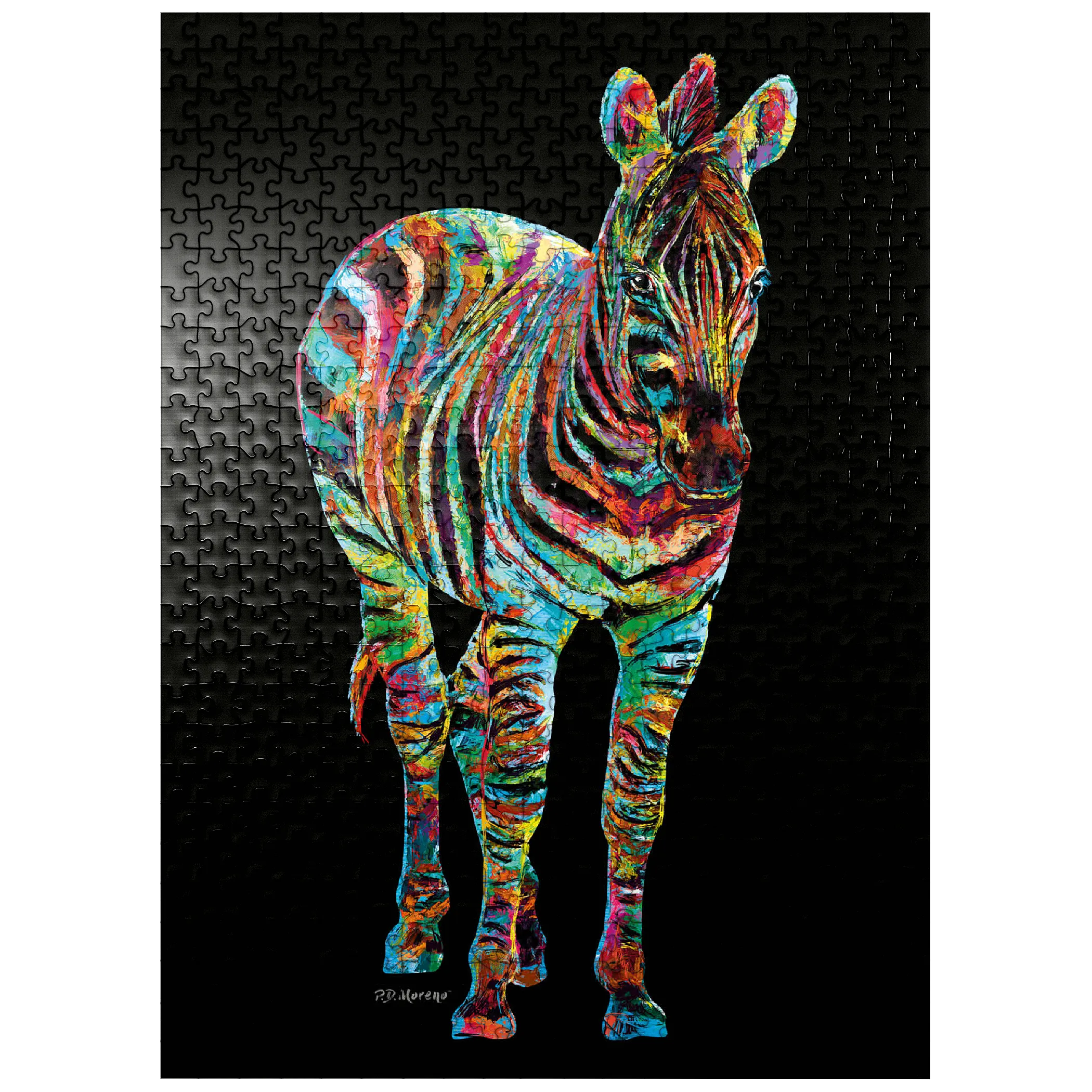 Colorful Zebra