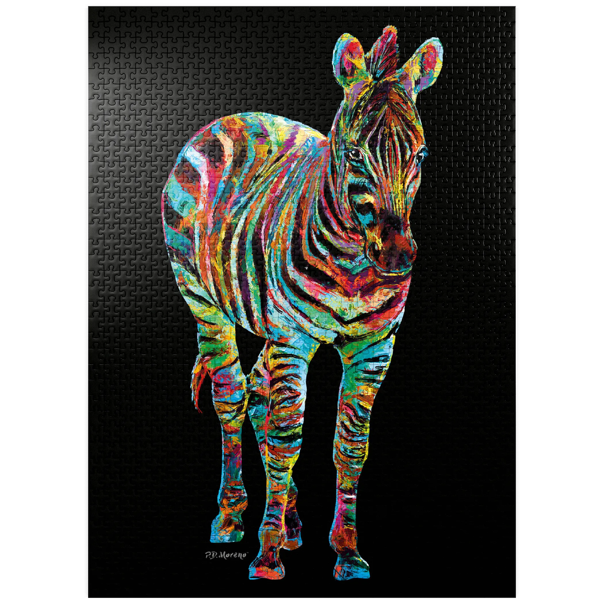 Colorful Zebra
