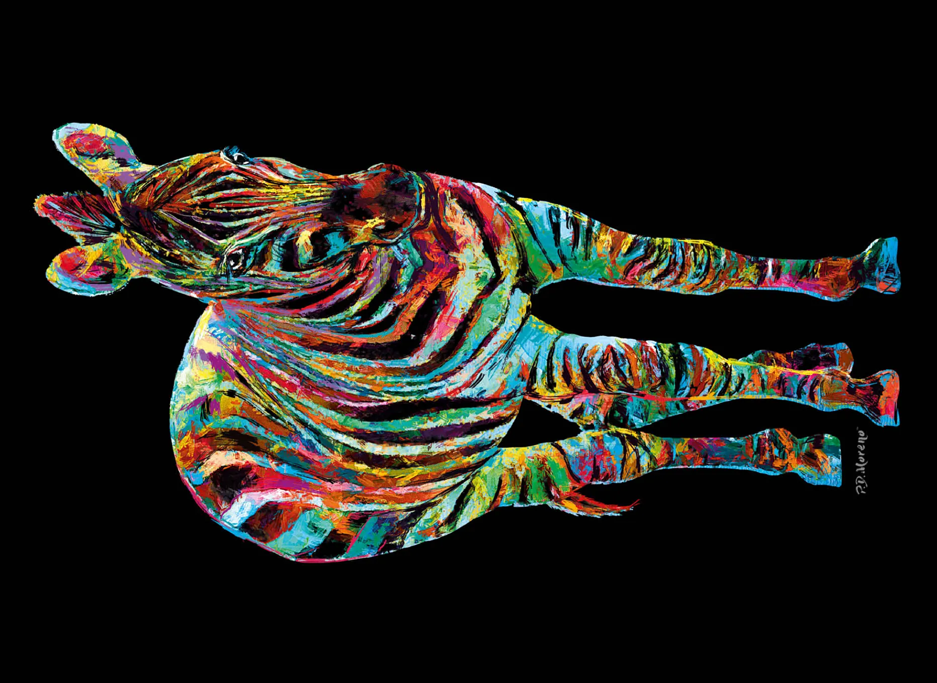 Colorful Zebra