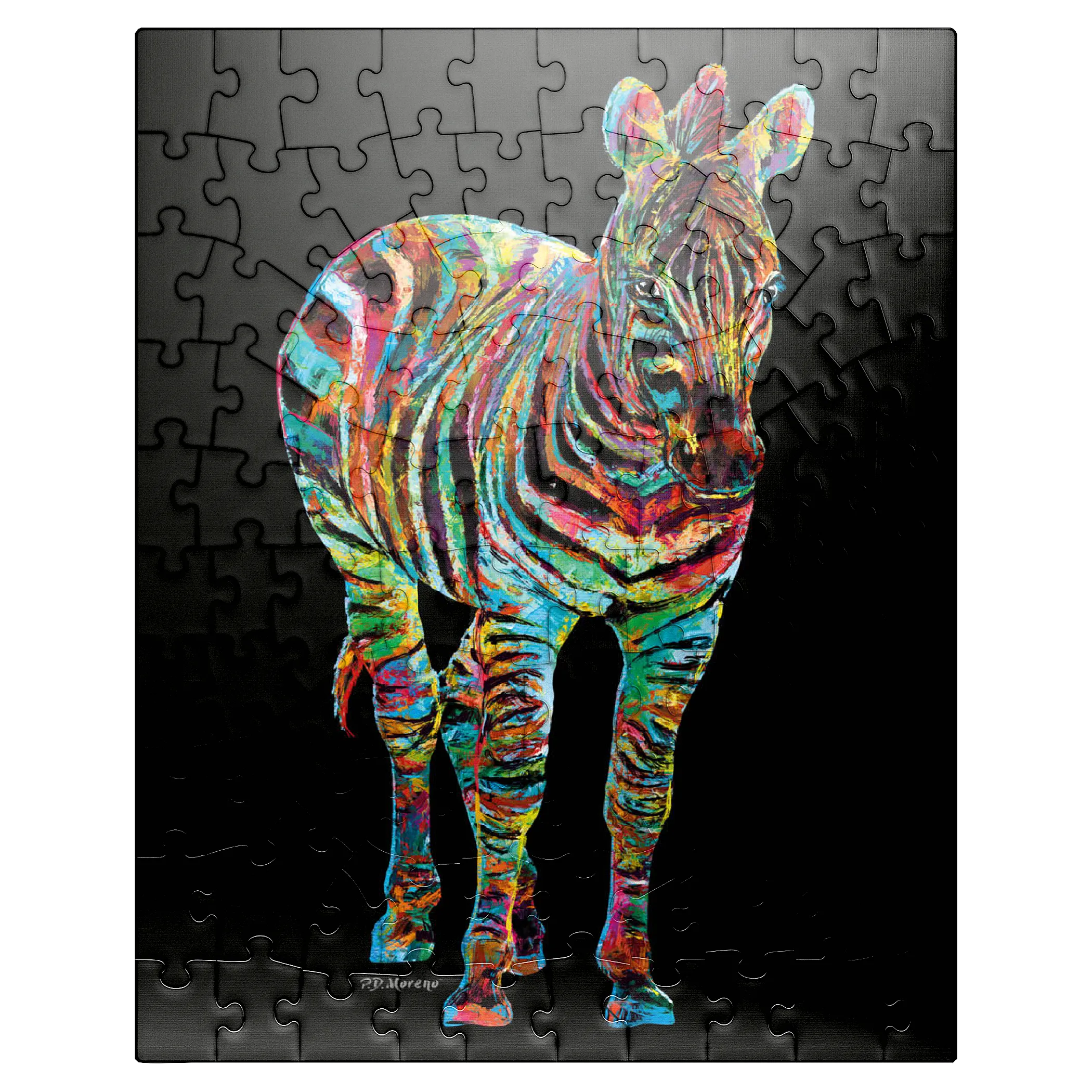 Colorful Zebra