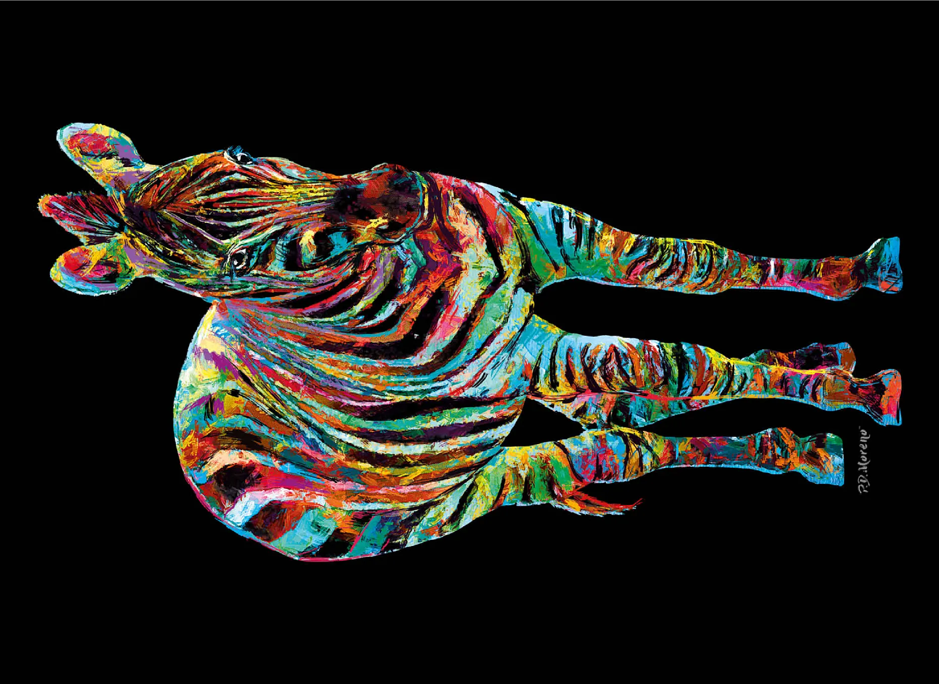 Colorful Zebra