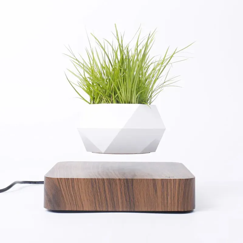 Flying Flower Pot