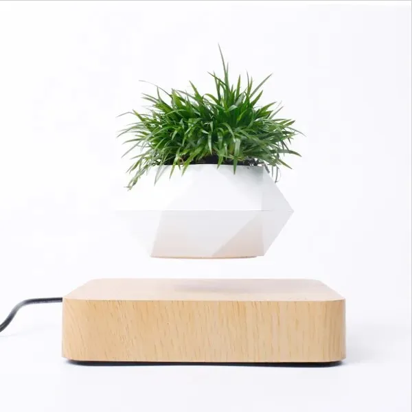 Flying Flower Pot
