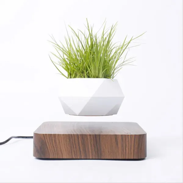 Flying Flower Pot