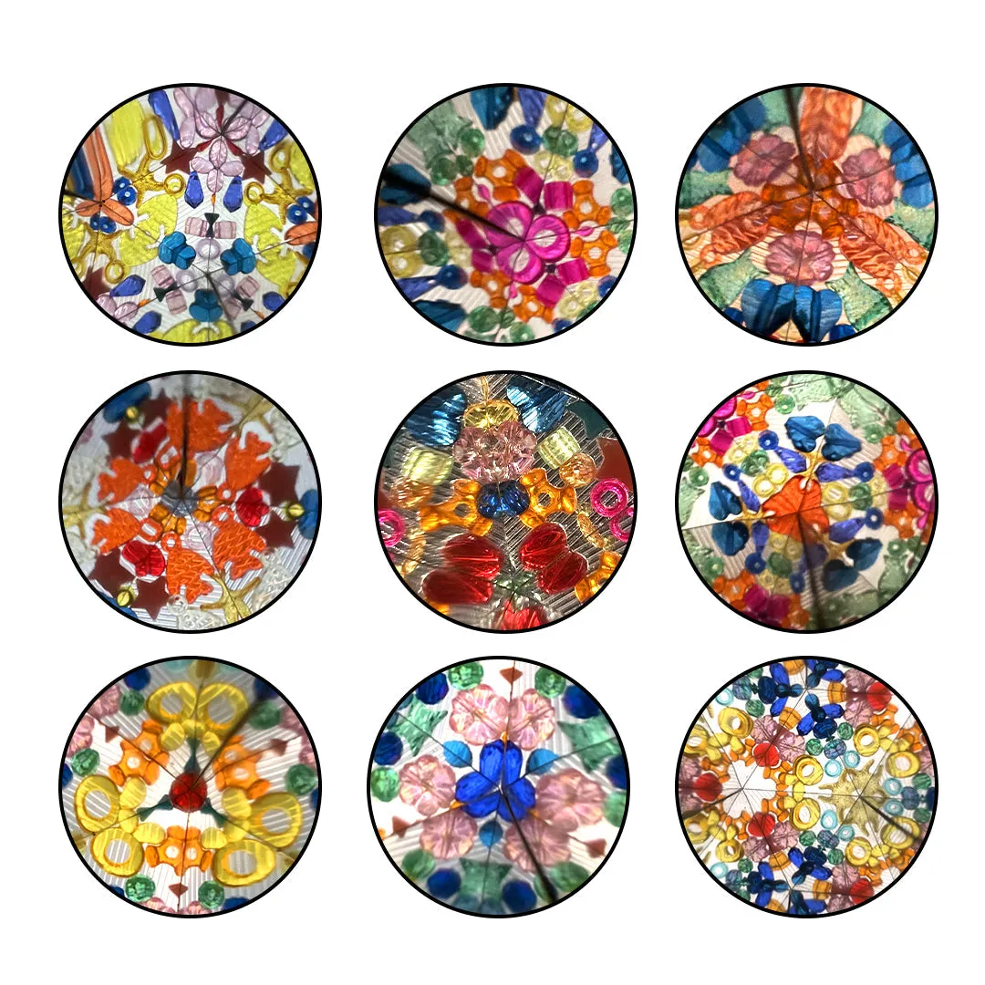 Kaleidoscope: A Day In The Spring Zoo