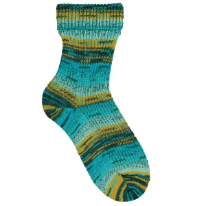 Opal Zauberwald Yarn - 11445