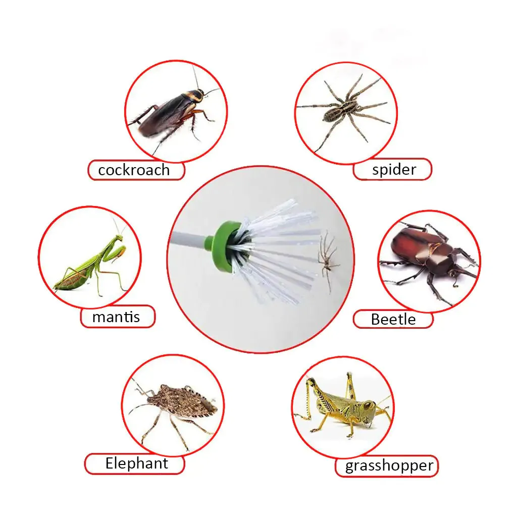 Outdoor Insect Trapping Clip
