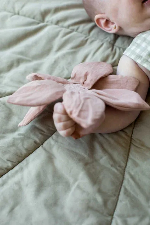 Rattle   Crinkle Toys Lily Pond
