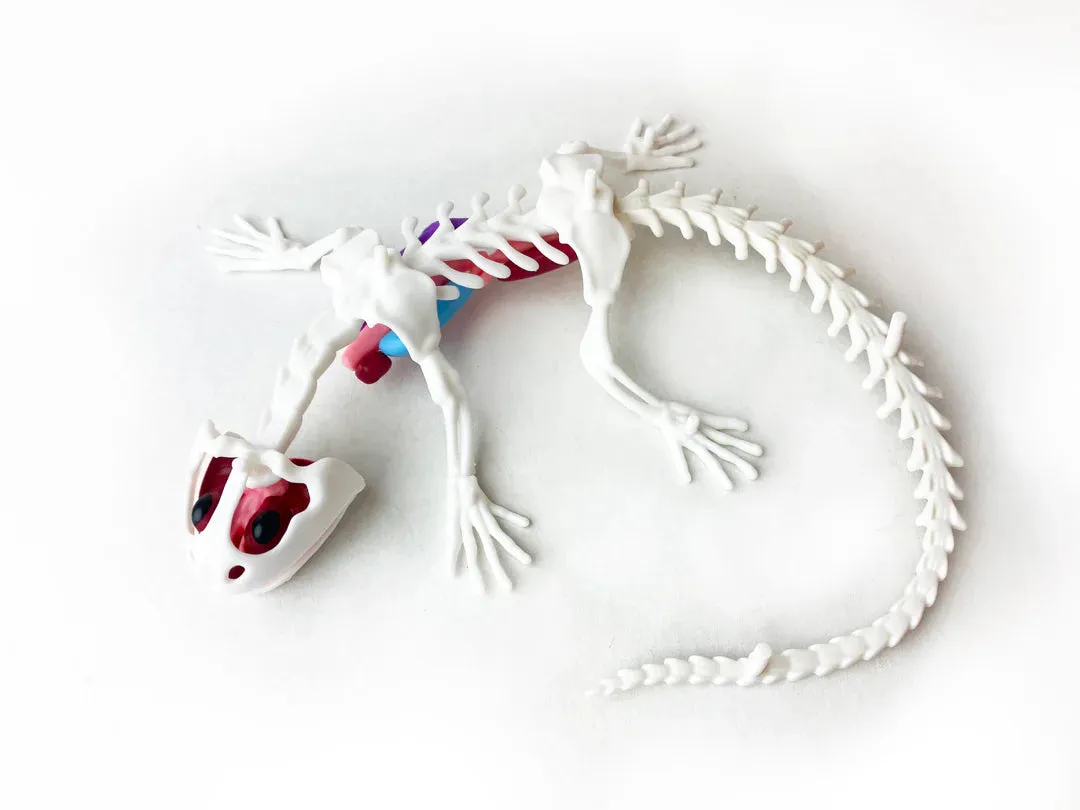 Tangle® Dissect-It® - Salamander Lab